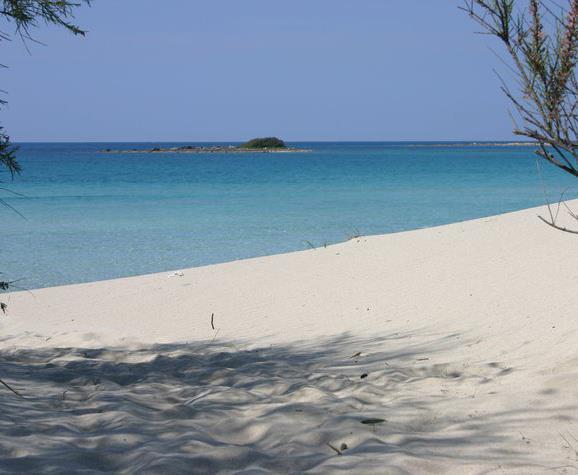 Villa Arneide Bed And Breakfast Torre Lapillo Bagian luar foto