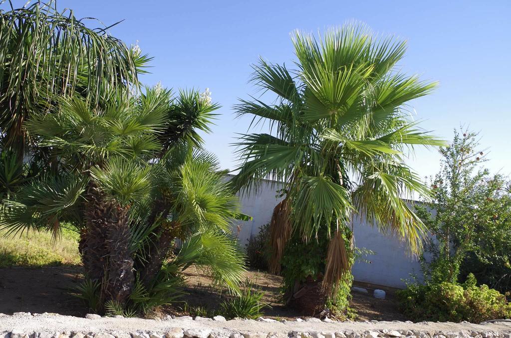 Villa Arneide Bed And Breakfast Torre Lapillo Bagian luar foto